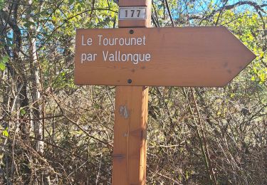 Tour Wandern Coursegoules - Circuit de Vallon - Photo