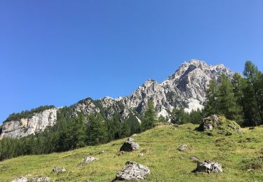 Trail On foot Val di Zoldo - IT-523 - Photo