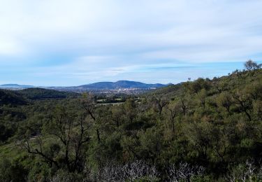 Tour Wandern Hyères - les 2ème borrels - Photo