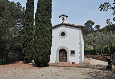 Percorso A piedi Arenys de Munt - SL-C 76 Arenys de Munt-El Corral - Photo