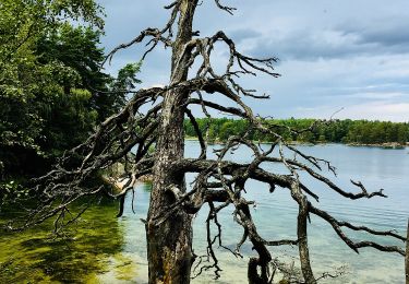 Tour Zu Fuß Unbekannt - Utnäset-Uvviken - Photo