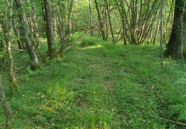 Tocht Stappen Les Eyzies - parcelles carmensac - Photo