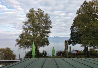 Percorso Cicloturismo Pregny-Chambésy - Gland - Photo