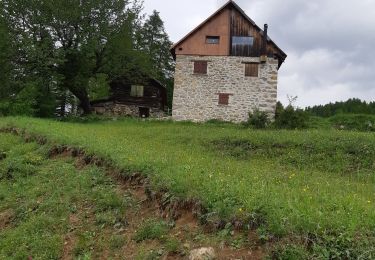 Excursión Senderismo Saint-Étienne-de-Tinée - saint Étienne de tinée - Photo