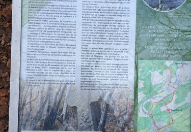 Trail Walking Hamoir - FILOT Adeps 2023 15 km - Photo