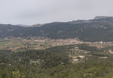 Tocht Stappen Le Castellet - 20220523_11_pieds_Castellet_Castillon - Photo