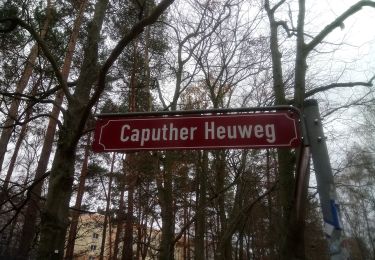 Tour Zu Fuß  - Naturlehrpfad Ravensberge - Photo