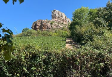 Tocht Stappen Solutré-Pouilly - Roche de Solutré - Photo