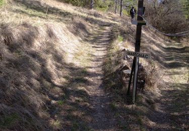 Trail Walking Marignac-en-Diois - 26 Marignac desse court 17 02 2021 - Photo