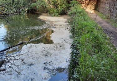 Tour Wandern Pont-Aven - Pont Aven vers port manech - Photo