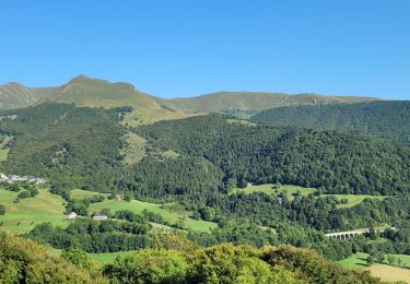 Tocht Stappen Saint-Jacques-des-Blats - st Jacques des béats les boissines  - Photo