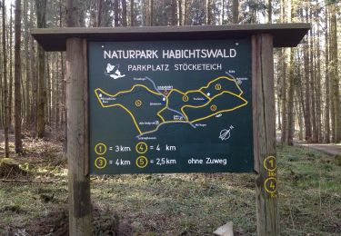 Randonnée A pied Wolfhagen - Habichtswaldsteig - Extratour Wolfhagen - Photo