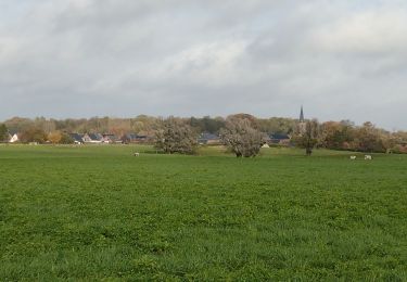 Tocht Stappen Zinnik - Promenade Piedescaus Thieusies - Photo