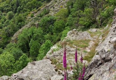 Tour Wandern Vallées-d'Antraigues-Asperjoc - Entraigues  - Photo