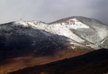 Percorso A piedi Loro Ciuffenna - Anello S.Clemente in Valle - Poggio di Loro - Rocca Ricciarda - Pratomagno - Trappola - Photo