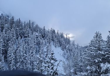 Randonnée Raquettes à neige Pralognan-la-Vanoise - Les Fontanettes  - Photo