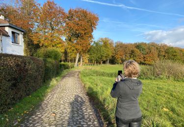 Randonnée Marche Lasne - Lasne  - Photo