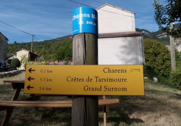 Percorso Marcia Charens - Montagne de Tarsimoure - Charens  - Photo