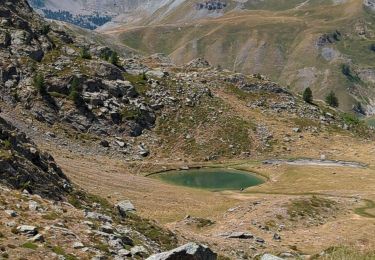 Trail Walking Saint-Dalmas-le-Selvage - col des fourches- lacs Morgon et lacs Laussets - Photo