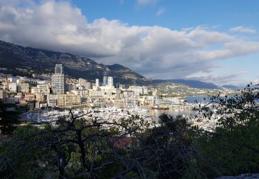 Excursión Senderismo Cap-d'Ail - Rando Cap D'Ail-Tete de chien-La Turbie-Monaco - Photo
