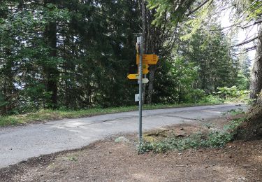 Randonnée Marche Ayent - le pertou - Photo