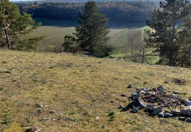 Excursión Senderismo Viroinval - Nîmes _ Marche Privée  - Photo