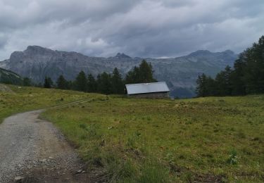 Excursión Marcha nórdica Arbaz - les rousses - Photo