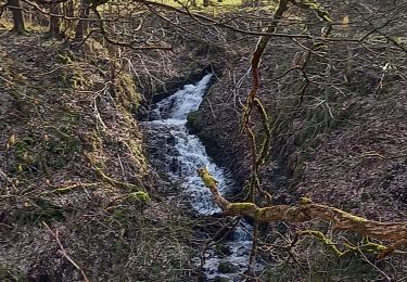 Randonnée Marche Houffalize - bernistap - Photo