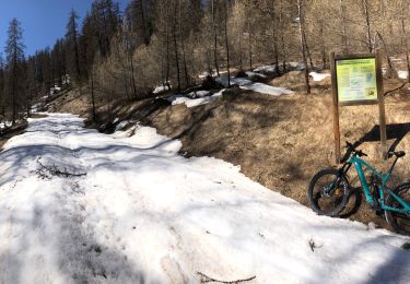 Tocht Mountainbike Châteauroux-les-Alpes - Montée au Distroit - Photo