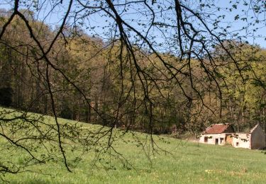 Trail Walking Cour-Maugis sur Huisne - La Corbonasière 17 Km - Photo