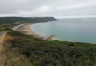 Trail Walking La Hague - 50 Nez de Jobourg baie d'Ecalgrain 11km - Photo