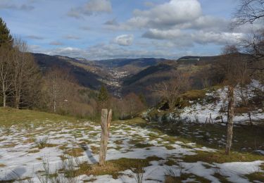 Tour Wandern Cornimont - LE HAUT DU ROC - Photo