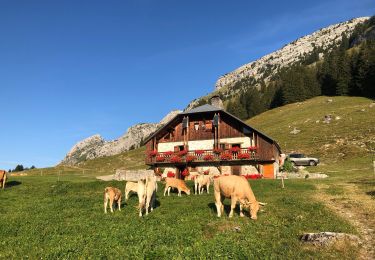 Tour Wandern Le Reposoir - Montée au Petit Bargy - Photo