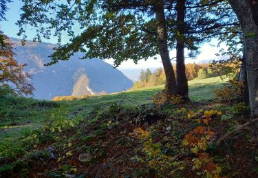 Trail Walking Saint-Nizier-du-Moucherotte - Plateau Charvet (petite boucle) - Photo