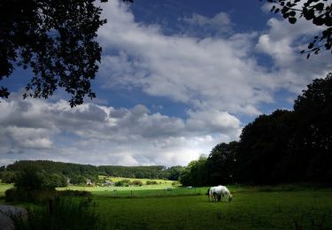 Tocht Te voet Marienheide - Rundweg A6 (Schmitzwipper) - Photo