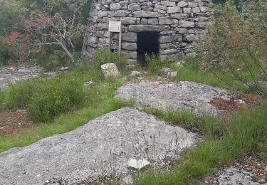 Randonnée Marche Saint-Paul-le-Jeune - dolmens et borilles - Photo
