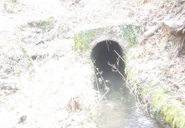 Tour Wandern Irun - cascade dEnbido- Aitzondo mines et ravin de Meazuri 2024/11/12 - Photo