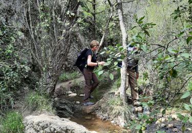 Trail Walking Le Tholonet - crête du marbre-petite mer - Photo