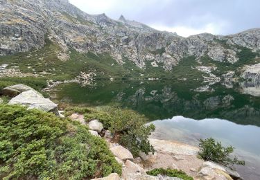 Trail Walking Corte - Lac du Melu - Photo