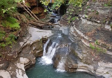 Trail Walking Sallanches - les fours - Photo