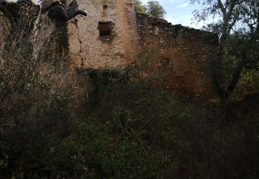 Tour Wandern Oraison - Le bois de St Martin d'Oraison - Photo