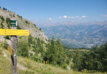 Randonnée Marche Enchastrayes - col du Chapeau de gendarme et de Gyp Aller via flanc est Retour via flanc nord - Photo