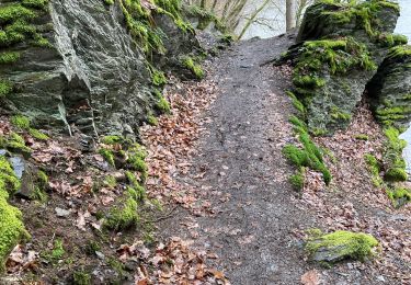 Tocht Stappen Houffalize - Barage  de Nisramont 14 Km - Photo