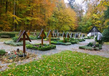 Tocht Te voet Grasellenbach - Rundwanderweg Hammelbach 10: Quellenweg Hammelbach - Photo