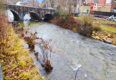 Randonnée Marche Theux - Le sentier de l’Ourlaine    - Photo