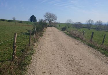 Trail Walking Saint-Côme-d'Olt - Labastide canto messo - Photo