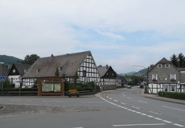 Randonnée A pied Schmallenberg - Fleckenberg Rundweg F3 - Photo