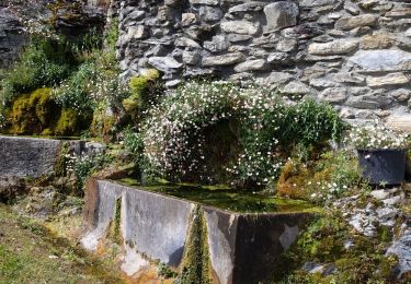 Randonnée Marche Cierp-Gaud - cierp binos - Photo