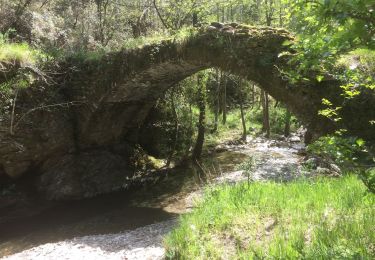 Tour Wandern Saint-Privat-de-Vallongue - 30 ravin de l’enfer 7 mai 2019 - Photo