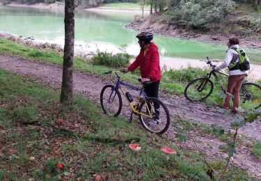 Trail Hybrid bike La Roche-sur-Yon - la roche sur yon terres noires complexe  sportif  - Photo